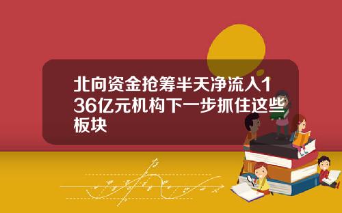 北向资金抢筹半天净流入136亿元机构下一步抓住这些板块