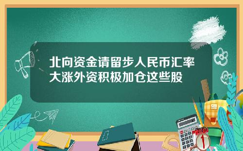 北向资金请留步人民币汇率大涨外资积极加仓这些股