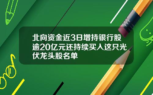 北向资金近3日增持银行股逾20亿元还持续买入这只光伏龙头股名单