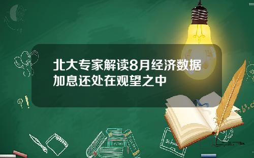 北大专家解读8月经济数据加息还处在观望之中