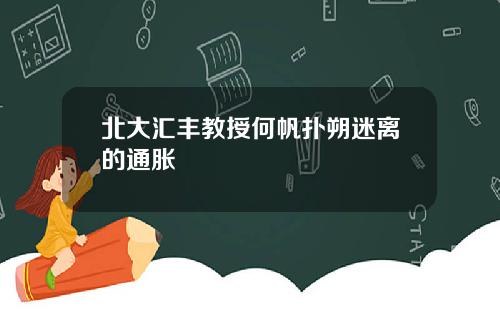 北大汇丰教授何帆扑朔迷离的通胀
