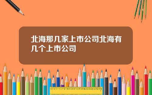 北海那几家上市公司北海有几个上市公司