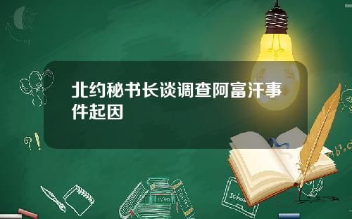 北约秘书长谈调查阿富汗事件起因