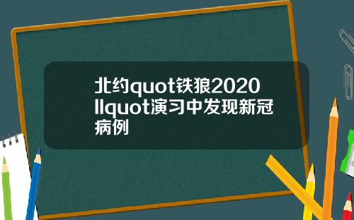 北约quot铁狼2020IIquot演习中发现新冠病例