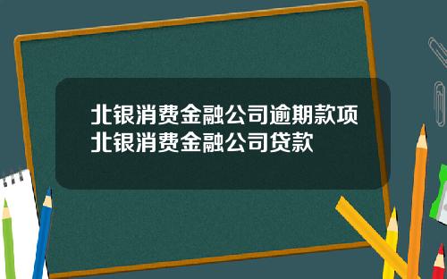 北银消费金融公司逾期款项北银消费金融公司贷款