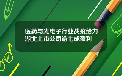 医药与光电子行业战疫给力湖北上市公司逾七成盈利