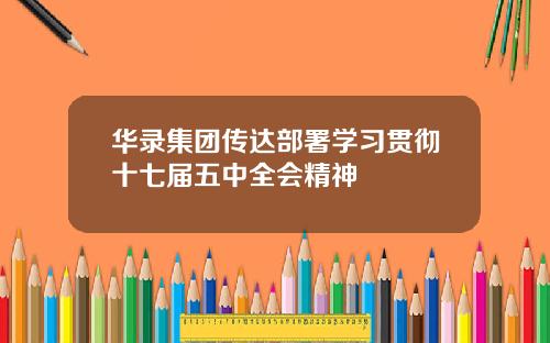 华录集团传达部署学习贯彻十七届五中全会精神