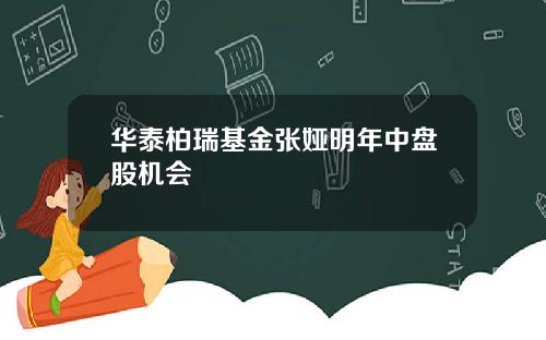 华泰柏瑞基金张娅明年中盘股机会