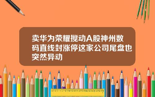 卖华为荣耀搅动A股神州数码直线封涨停这家公司尾盘也突然异动
