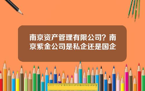 南京资产管理有限公司？南京紫金公司是私企还是国企