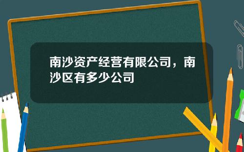 南沙资产经营有限公司，南沙区有多少公司