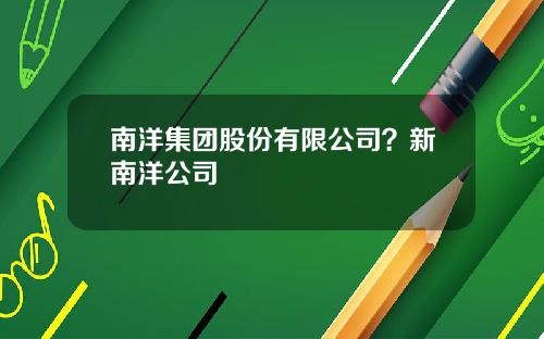 南洋集团股份有限公司？新南洋公司