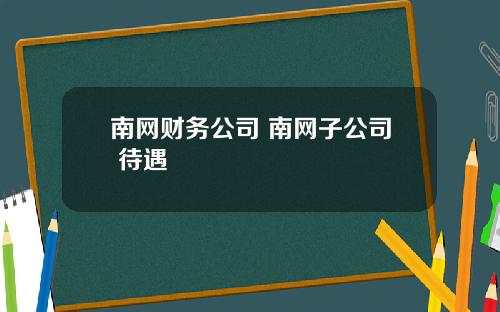 南网财务公司 南网子公司 待遇