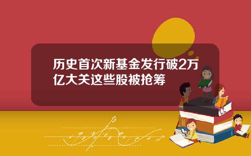历史首次新基金发行破2万亿大关这些股被抢筹