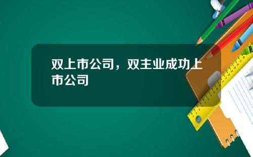 双上市公司，双主业成功上市公司