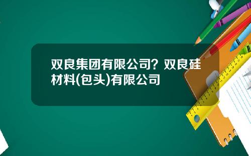 双良集团有限公司？双良硅材料(包头)有限公司