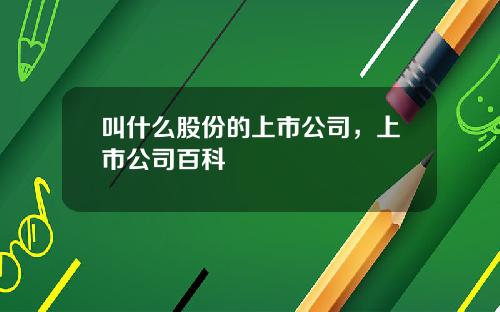 叫什么股份的上市公司，上市公司百科