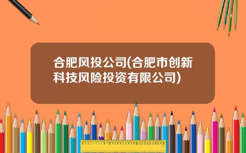 合肥风投公司(合肥市创新科技风险投资有限公司)