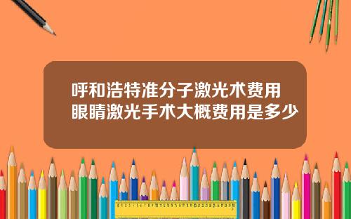 呼和浩特准分子激光术费用眼睛激光手术大概费用是多少