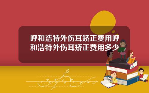 呼和浩特外伤耳矫正费用呼和浩特外伤耳矫正费用多少