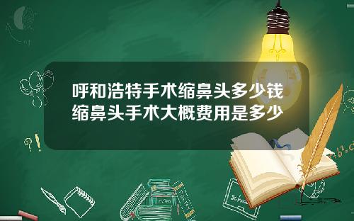 呼和浩特手术缩鼻头多少钱缩鼻头手术大概费用是多少