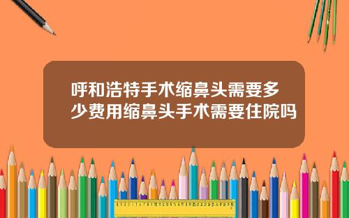 呼和浩特手术缩鼻头需要多少费用缩鼻头手术需要住院吗