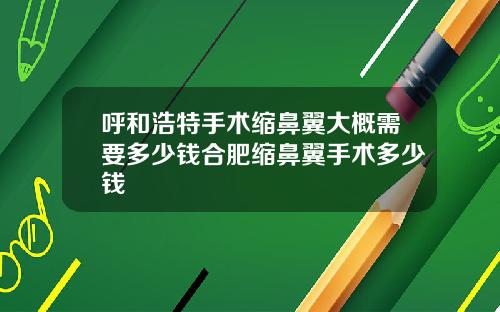 呼和浩特手术缩鼻翼大概需要多少钱合肥缩鼻翼手术多少钱