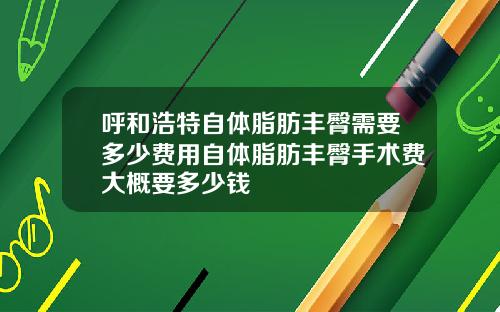 呼和浩特自体脂肪丰臀需要多少费用自体脂肪丰臀手术费大概要多少钱