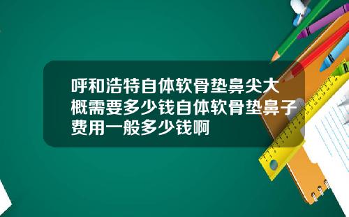 呼和浩特自体软骨垫鼻尖大概需要多少钱自体软骨垫鼻子费用一般多少钱啊