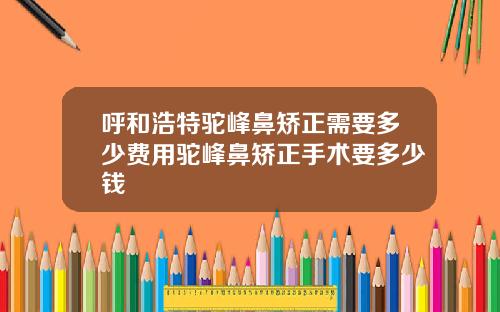 呼和浩特驼峰鼻矫正需要多少费用驼峰鼻矫正手术要多少钱