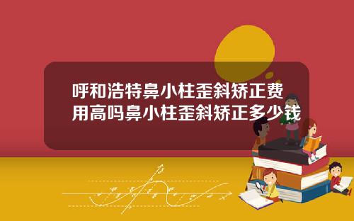 呼和浩特鼻小柱歪斜矫正费用高吗鼻小柱歪斜矫正多少钱