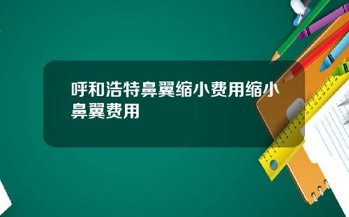 呼和浩特鼻翼缩小费用缩小鼻翼费用