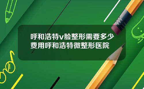 呼和浩特v脸整形需要多少费用呼和浩特微整形医院