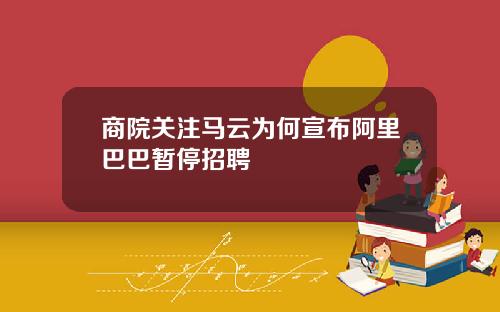 商院关注马云为何宣布阿里巴巴暂停招聘