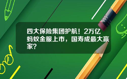 四大保险集团护航！2万亿蚂蚁金服上市，国寿成最大赢家？