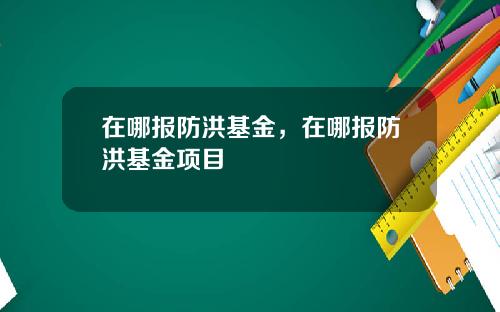 在哪报防洪基金，在哪报防洪基金项目