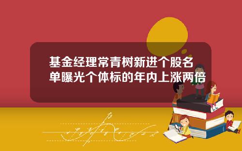 基金经理常青树新进个股名单曝光个体标的年内上涨两倍