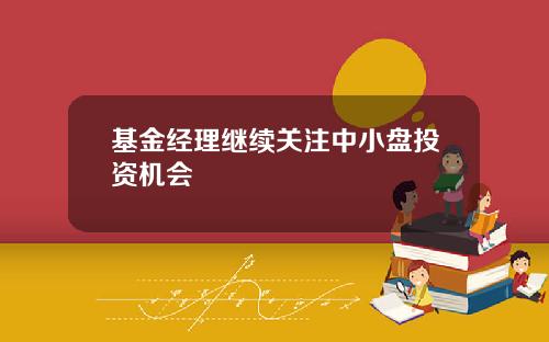 基金经理继续关注中小盘投资机会