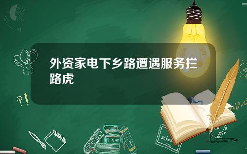 外资家电下乡路遭遇服务拦路虎