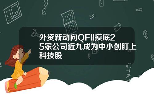 外资新动向QFII摸底25家公司近九成为中小创盯上科技股