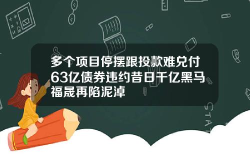 多个项目停摆跟投款难兑付63亿债券违约昔日千亿黑马福晟再陷泥淖