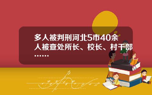 多人被判刑河北5市40余人被查处所长、校长、村干部……