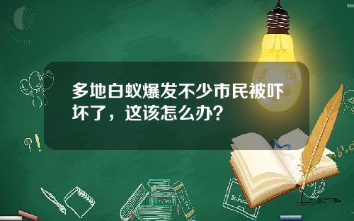 多地白蚁爆发不少市民被吓坏了，这该怎么办？
