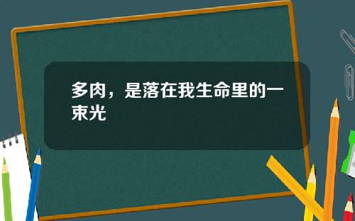 多肉，是落在我生命里的一束光