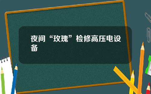夜间“玫瑰”检修高压电设备
