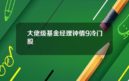 大佬级基金经理钟情9冷门股