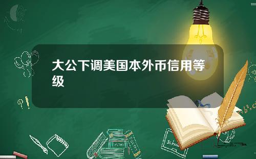 大公下调美国本外币信用等级