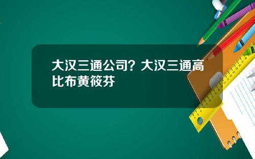 大汉三通公司？大汉三通高比布黄筱芬