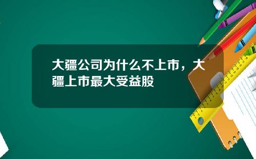 大疆公司为什么不上市，大疆上市最大受益股
