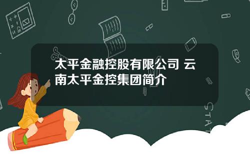 太平金融控股有限公司 云南太平金控集团简介